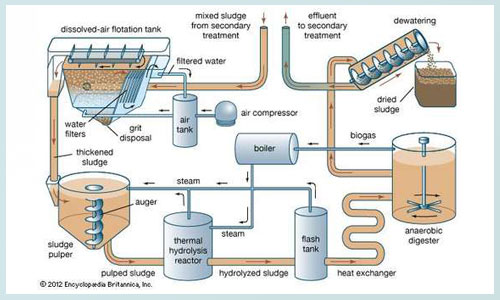 Organic Sludge processes